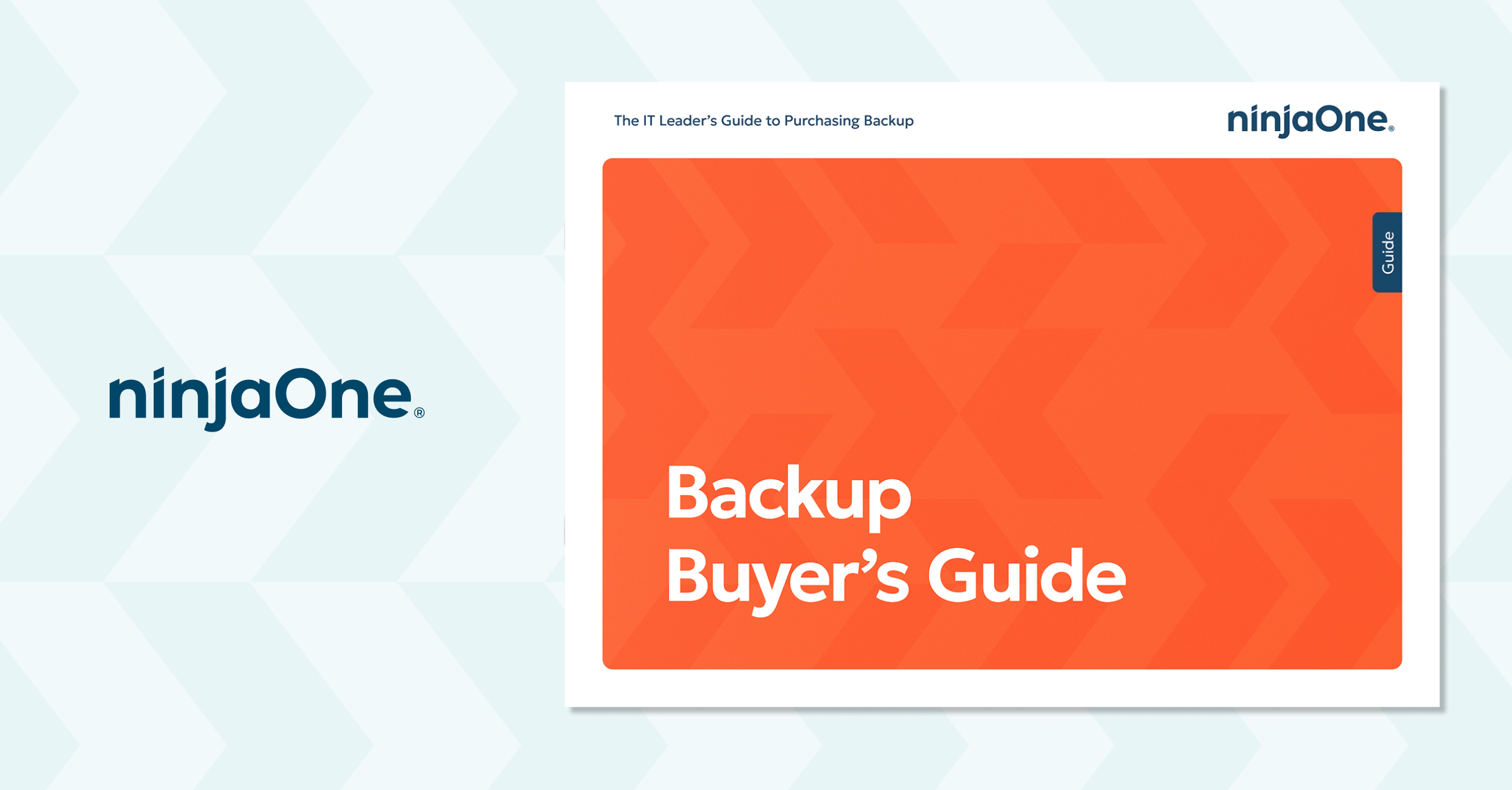 Backup Buyers Guide