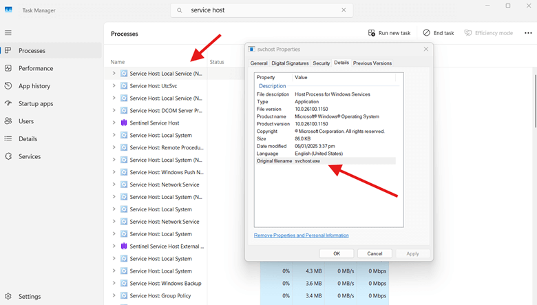 Task Manager window displaying service host properties