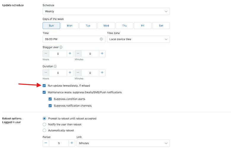 Run update immediately option