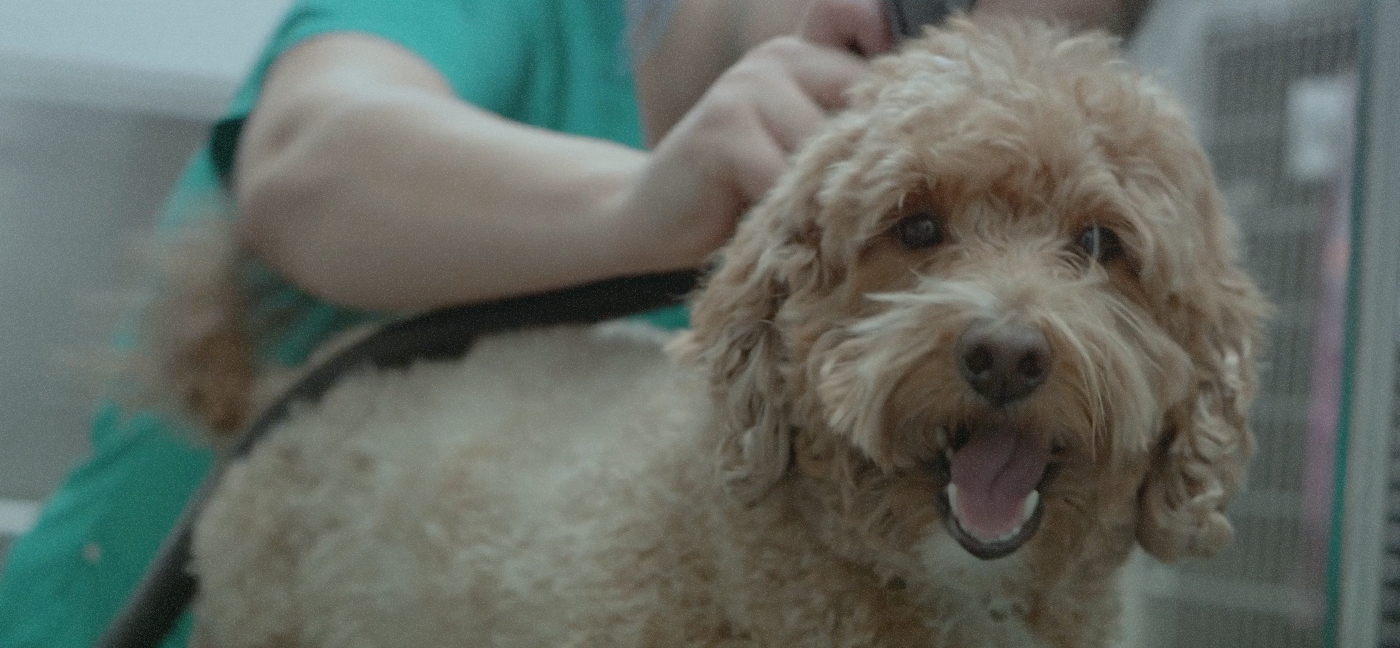 Ernie Turner, Director of IT at Vetcor interview still shot from interview about NinjaOne patch management software for 15,000 endpoints