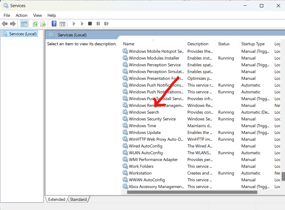 Individua "Windows Search"
