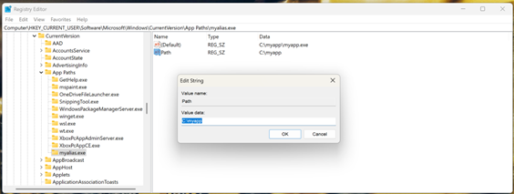 Añadir datos de valor en el editor del registro