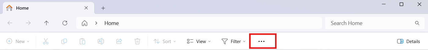 Click the ellipsis menu in this section > Select Options and go to the View tab. > Select Show Hidden Files, Folders, and Drives.