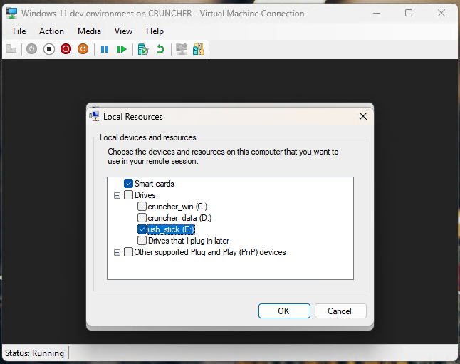 Local Resources window tab
