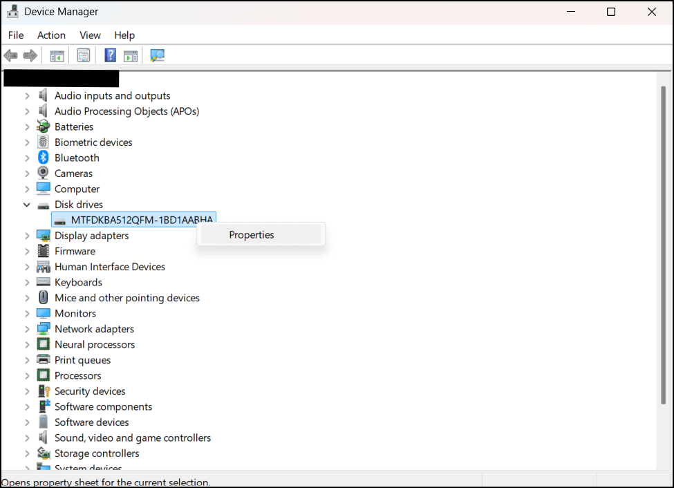 Device Manager Disk drives properties