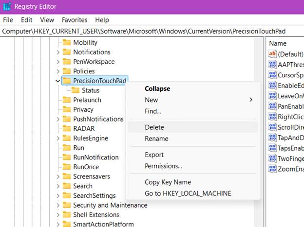 PrecisionTouchPad in Registry Editor