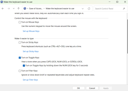 Turn on Toggle keys options