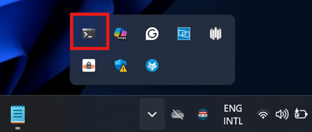 Icon in the system tray