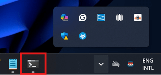 Taskbar icon when minimized