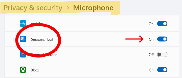 Impostazioni del microfono per lo strumento di cattura