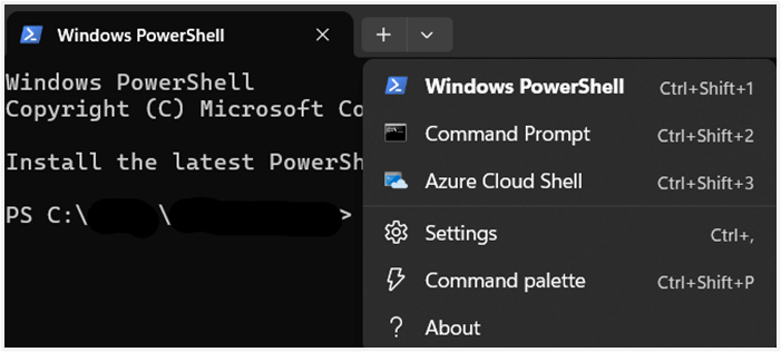 Open Windows PowerShell