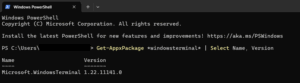 Configure "Do you want to close all tabs" in Windows Terminal | NinjaOne