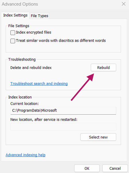 Delete and rebuild index button