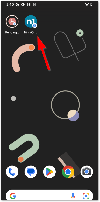 A screenshot showing the NinjaOne Assist app installed