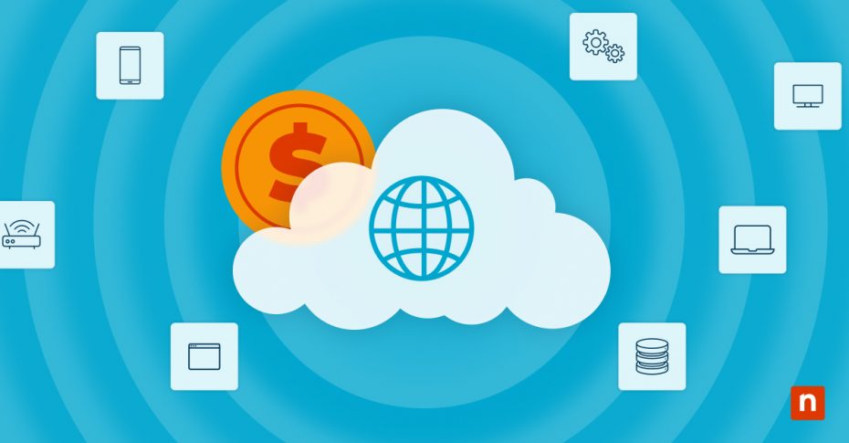 Network Monitoring Cost