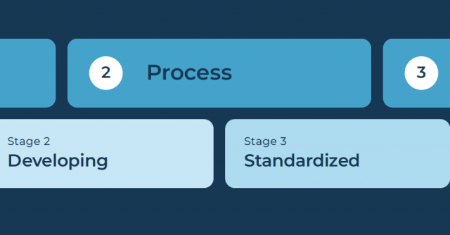Maturità in termini di automazione IT