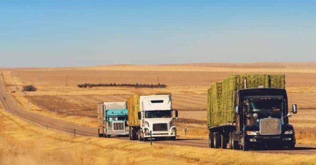 NinjaOne se impone a otros RMM para colaborar con Halcyon Support