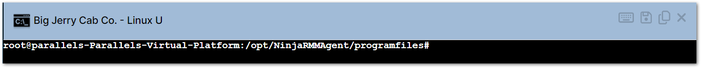 device_linux_action_CLI_terminal.png