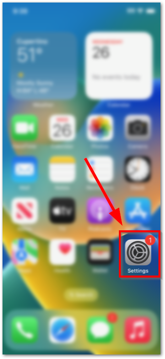 iphone settings.png